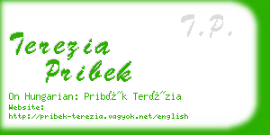 terezia pribek business card